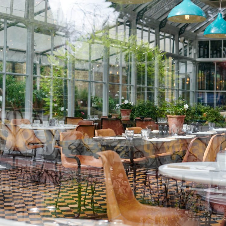 0008 - 2021 - Gees Restaurant & Bar - Oxford - High Res - Conservatory Seating Summer - Web Hero
