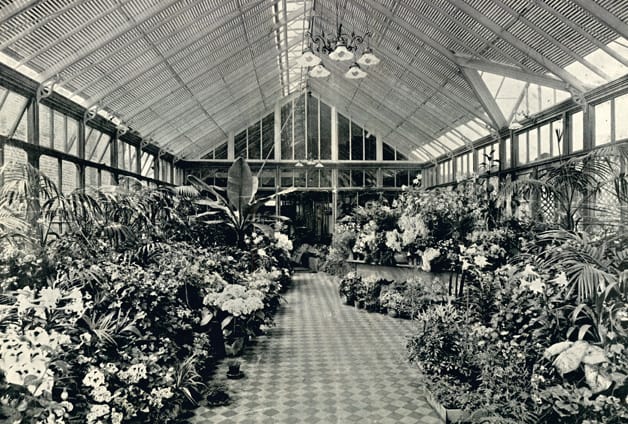 03 - 2022 - Gees Restaurant & Bar - Oxford - Low Res - History Vintage Victorian Conservatory